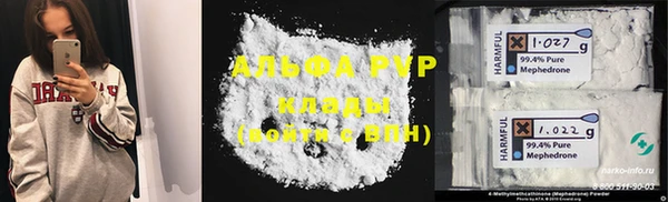 шишки Белоозёрский