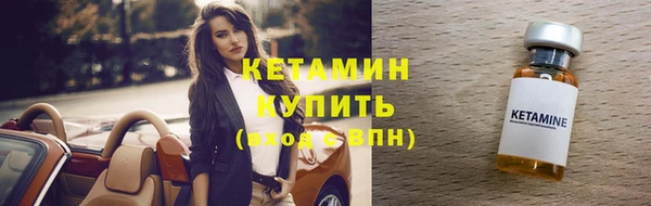 шишки Белоозёрский