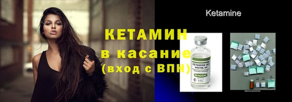 шишки Белоозёрский