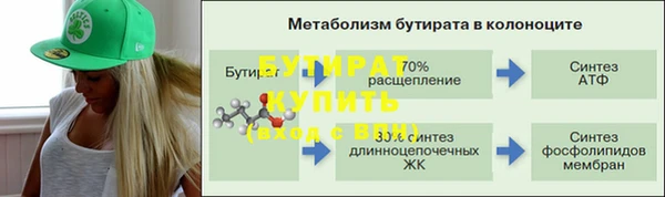 шишки Белоозёрский